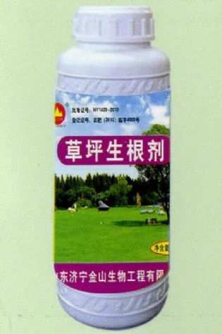 點(diǎn)擊查看詳細(xì)信息<br>標(biāo)題:草坪生根劑 閱讀次數(shù):1805