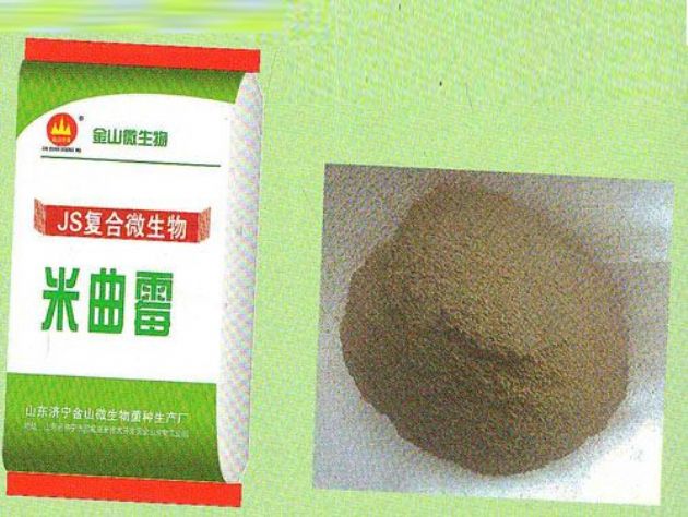 點(diǎn)擊查看詳細(xì)信息<br>標(biāo)題：米曲霉 閱讀次數(shù)：2338